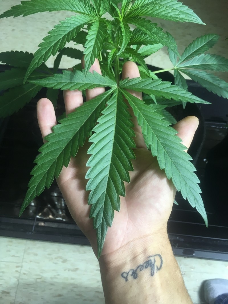 7030519F-B05E-4637-934F-EE2E2BCF2ECD