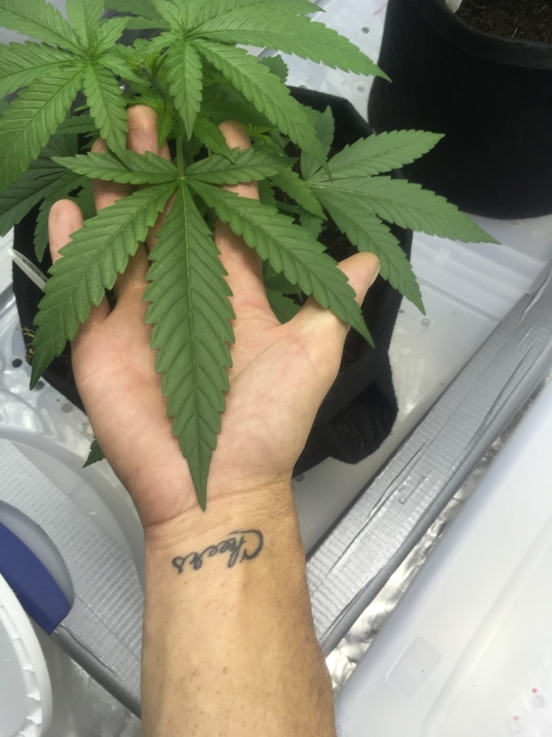 8B1B0885-BF55-439C-BB90-6333CAC5982A