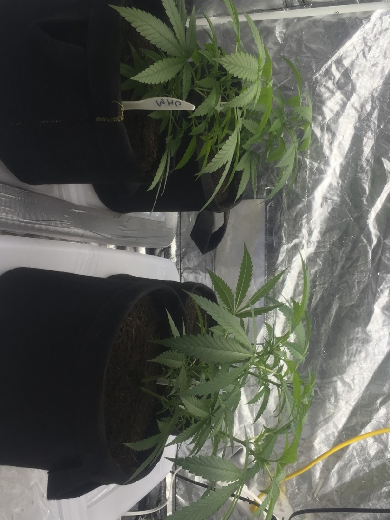 5EC66EA4-D8EA-48F2-808F-1ECA02767386