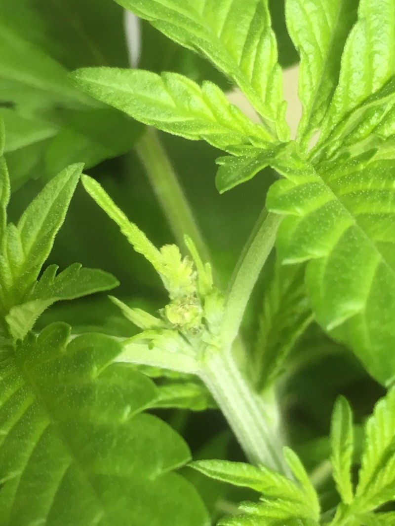 1D07E4F7-6E11-4359-B438-5DEA32E4F4ED