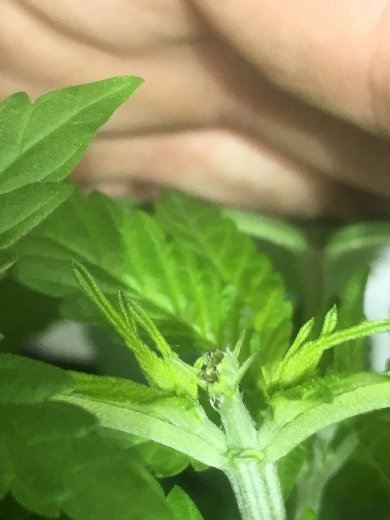 EA3ADA9E-2D8A-4062-8B35-F6BE6C941001