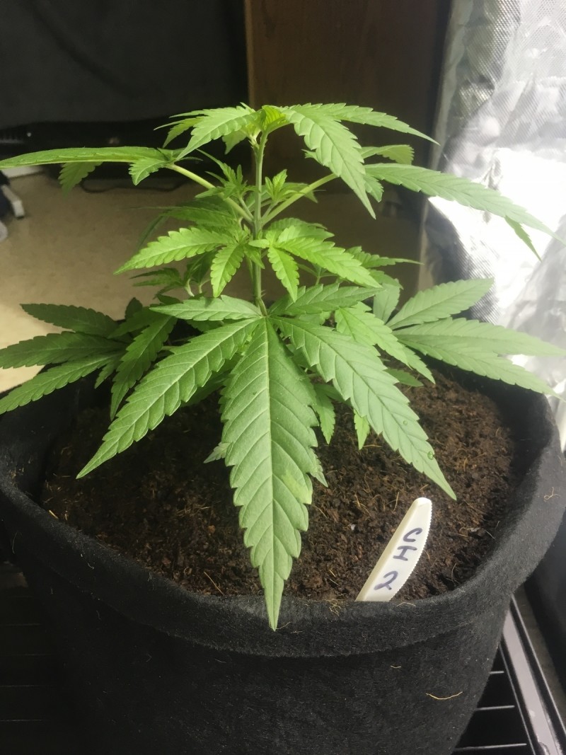 1DBA4657-D954-4293-B785-AAF41EFCC7B4