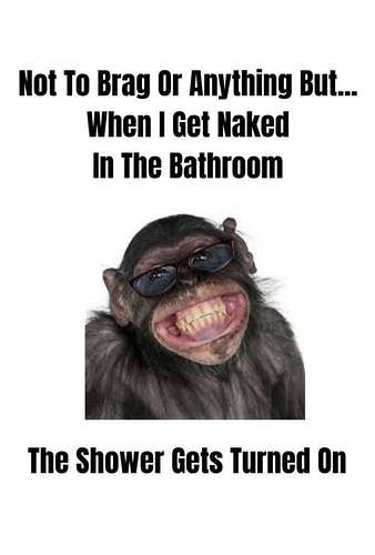 59bbd881de1eac8878f4343a231898fb638ccfa1_2_338x500