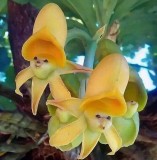 0f917459600925b636e217d807dc993b37cf147a_2_491x500