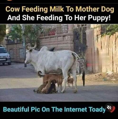 image_2023-07-07_172135302