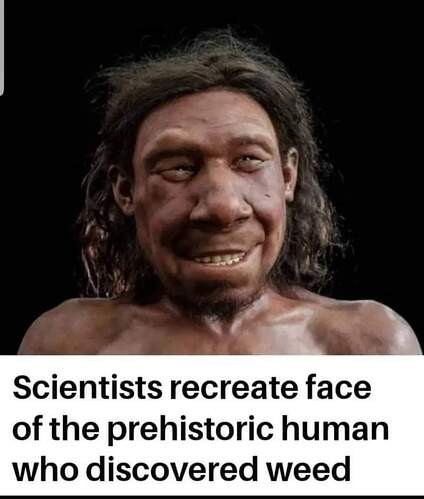 ba4b9e829a839802a3444f540c2d6bf52445c642_2_424x499