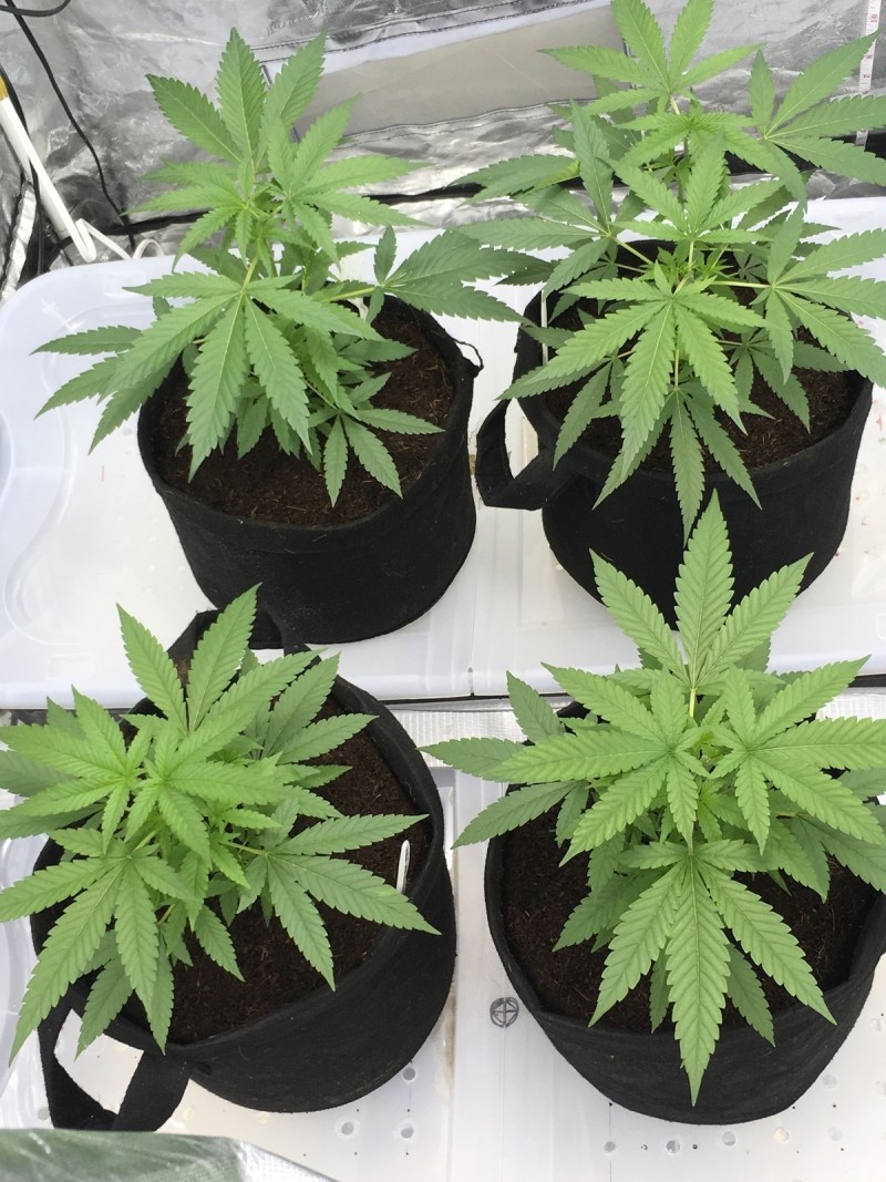 E91B732A-5F81-4354-B626-92A02AA6C0E8