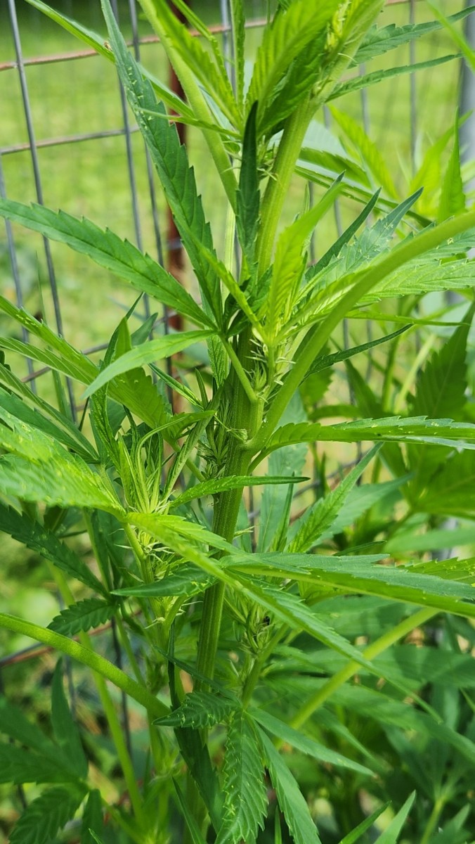 1689003049508801251049057947145