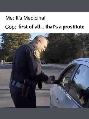 02c66bb5eed93e6e34a566c25b86ae742381e603_2_375x500