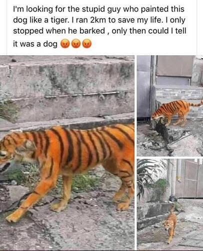 1d9b822e62d506be4b6f649e2d4a1f8ff4059710_2_406x500