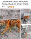 1d9b822e62d506be4b6f649e2d4a1f8ff4059710_2_406x500