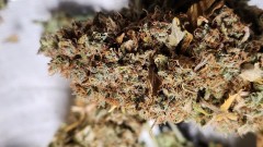 16892664964209057159617392190738