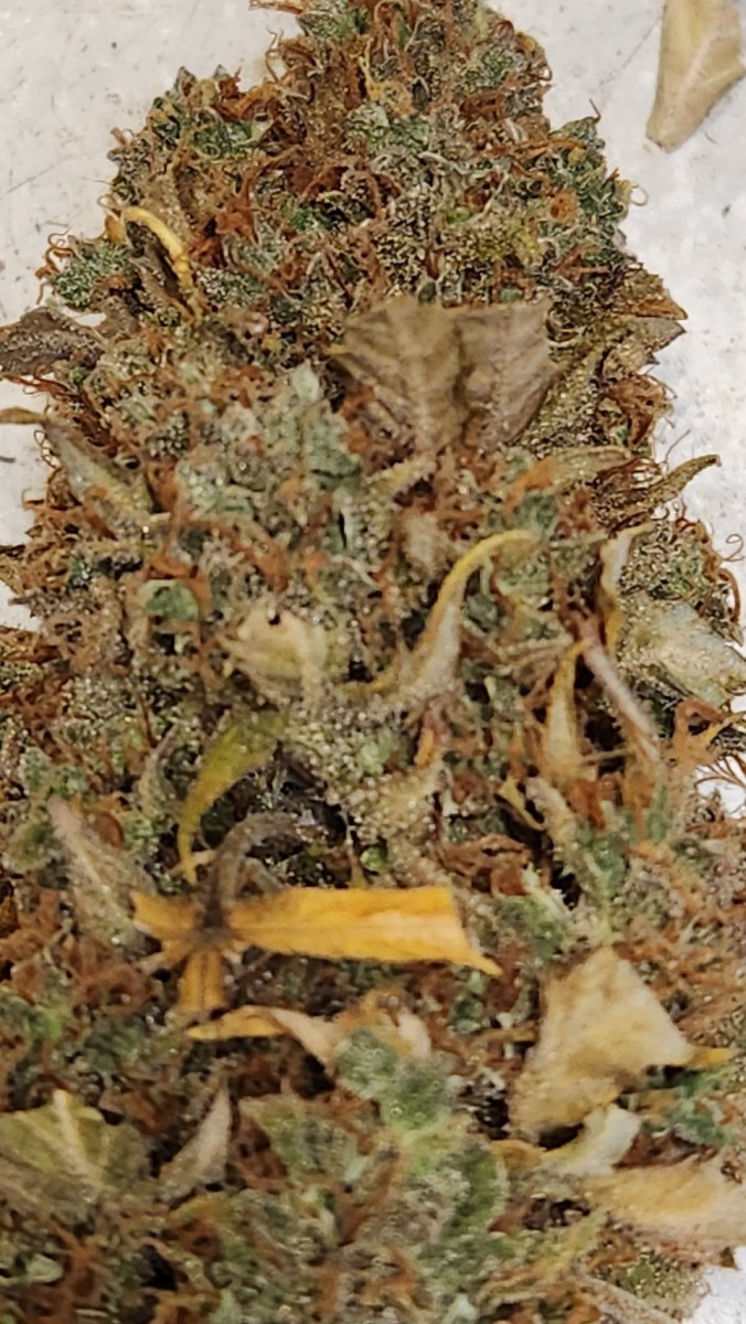 16892667130958340396013949612862