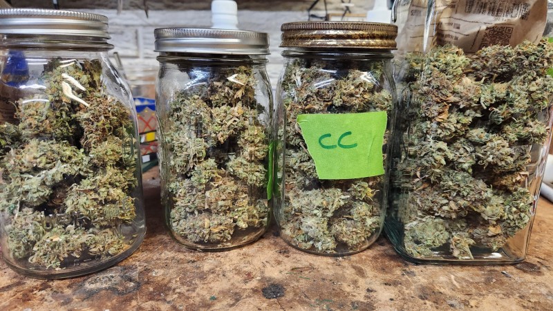 16892686333084392203342778574765