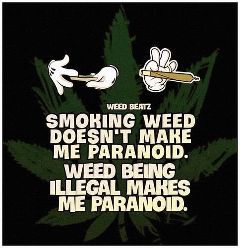 bcb4c7bbddaa1adc9a9b97832a0cc20717ad46ad_2_484x500