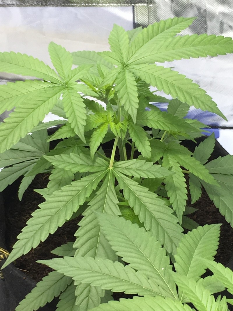 30F10B15-422F-4936-946F-0B6E92716E5C