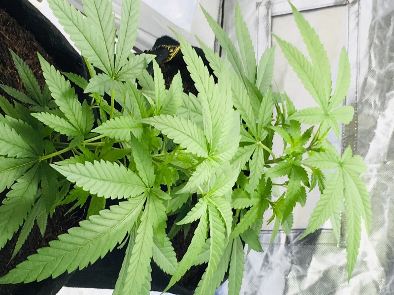 D8A7F7B2-95EE-417F-AC24-12A97140A81E