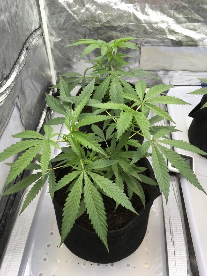 2A329DF7-7C05-453A-BC08-C9CF8FD254A3