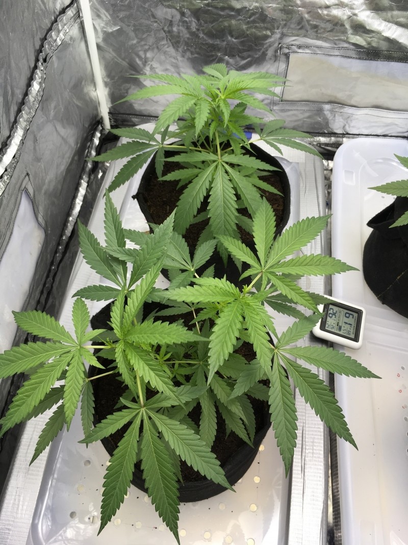 544B92FD-2732-4C3C-A917-8B2D153FC2E1