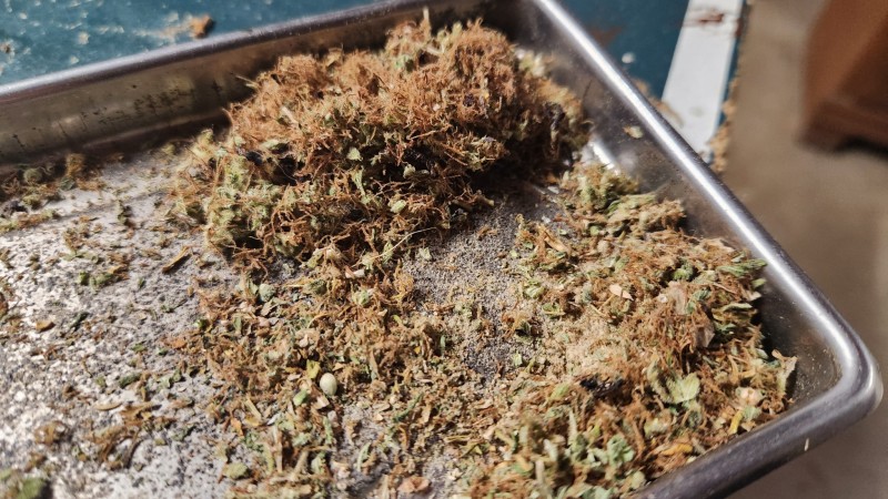 16895353959244748334723233601727