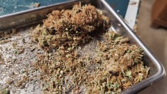 16895353959244748334723233601727