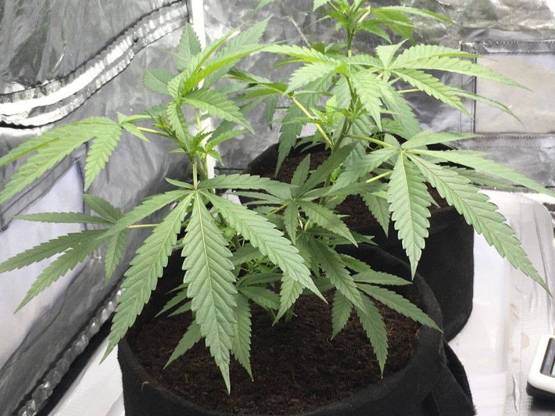 F7B6362F-25D8-4FEC-A328-5897086FA27E