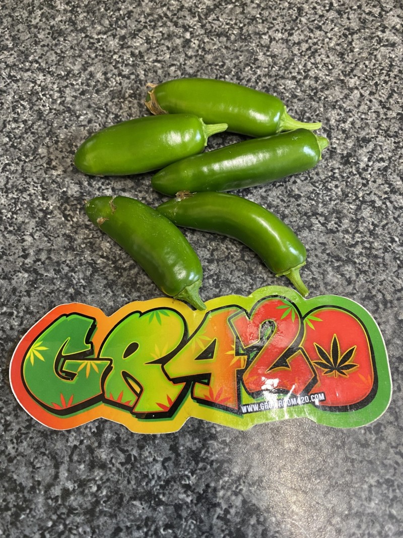 43D2C062-9783-410B-95C6-08B68B714A37