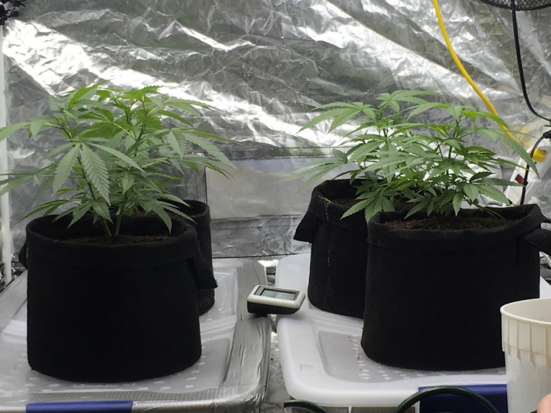 382D5461-0274-4815-854B-8037BC415ACD