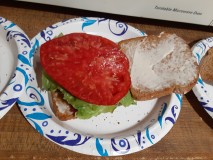 20230716_115131 - Copy