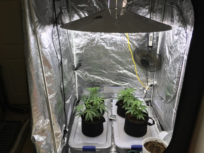 75511DC0-1CB0-4421-9690-9385D610FF3B