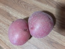 20230717_120424 - Copy