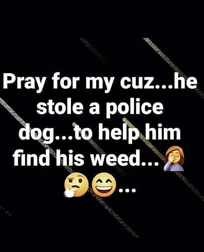 7b1a2c6b56566c6f7a295f3c415cd5d3d1d5fa48_2_405x500