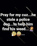 7b1a2c6b56566c6f7a295f3c415cd5d3d1d5fa48_2_405x500