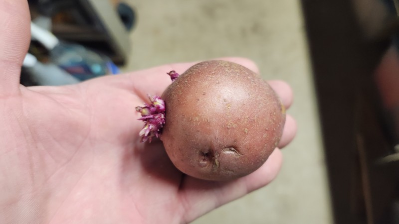 16896242205529008139290750892309