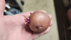 16896242205529008139290750892309