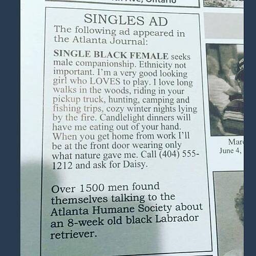 fa3b8271dea4103620839073c892e583a5404e6b_2_500x500