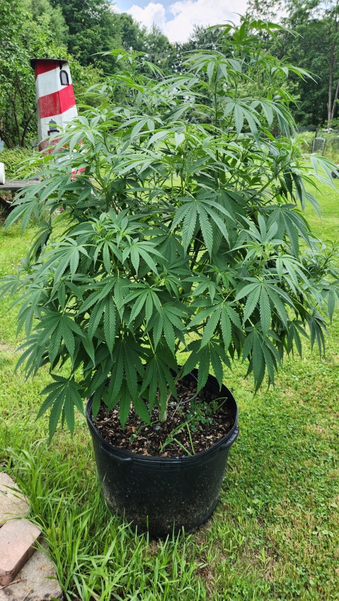 16897006150484566308690491895060