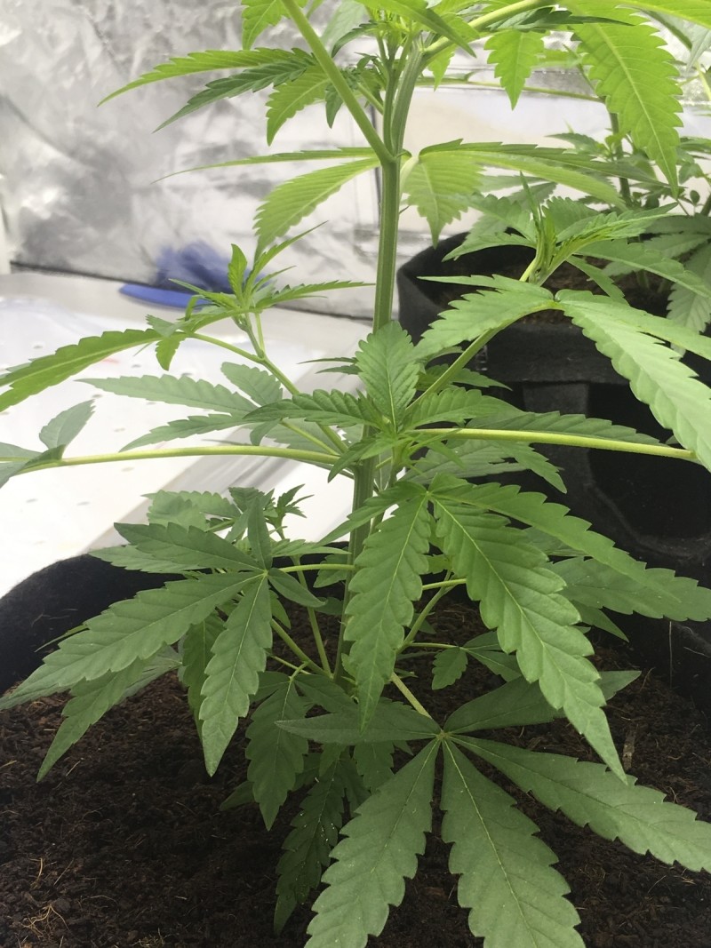 639E763C-915A-4A68-8860-1C6DCDE679EB