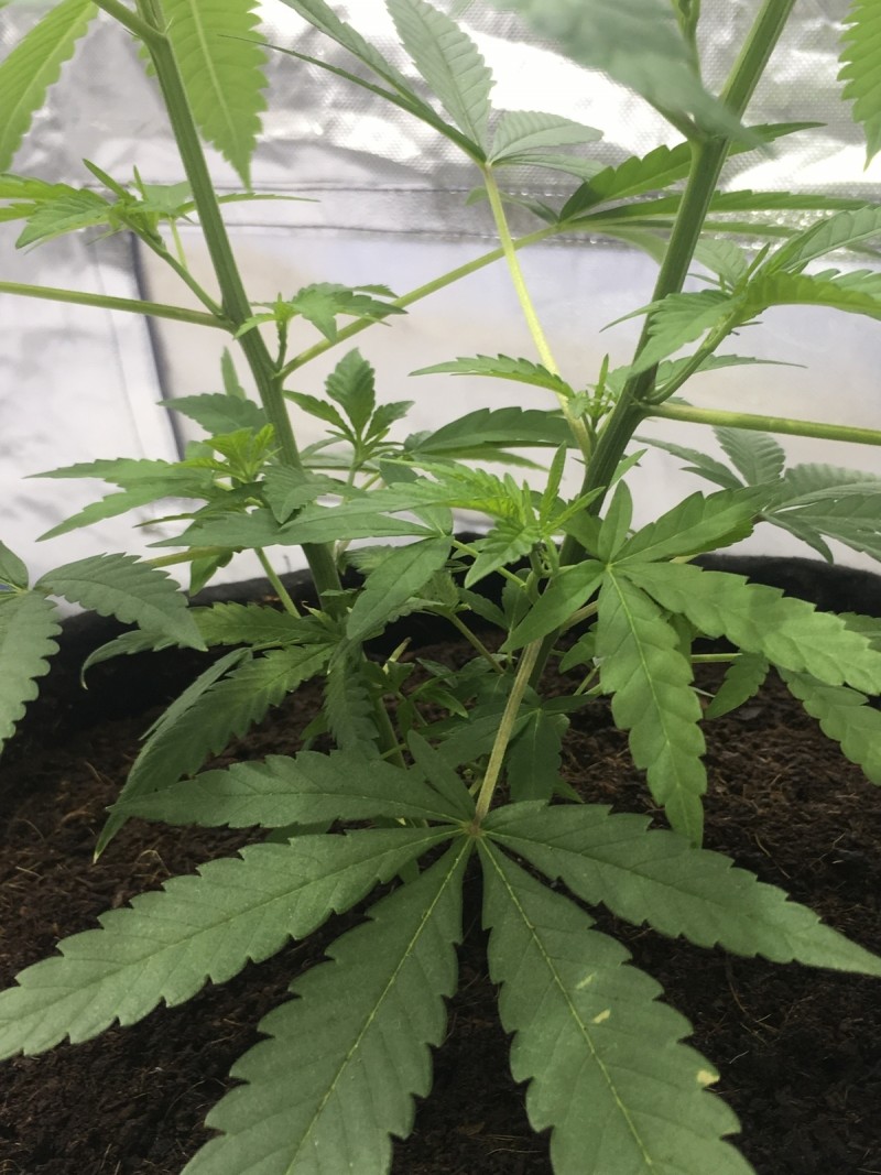 6B2BB375-C716-40F2-9BF9-03924DDE9D46