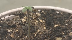 16899678363716000173932791485990