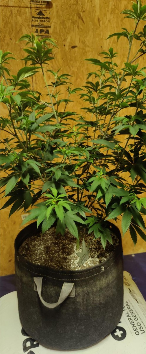 signal-2023-07-21-22-11-44-993