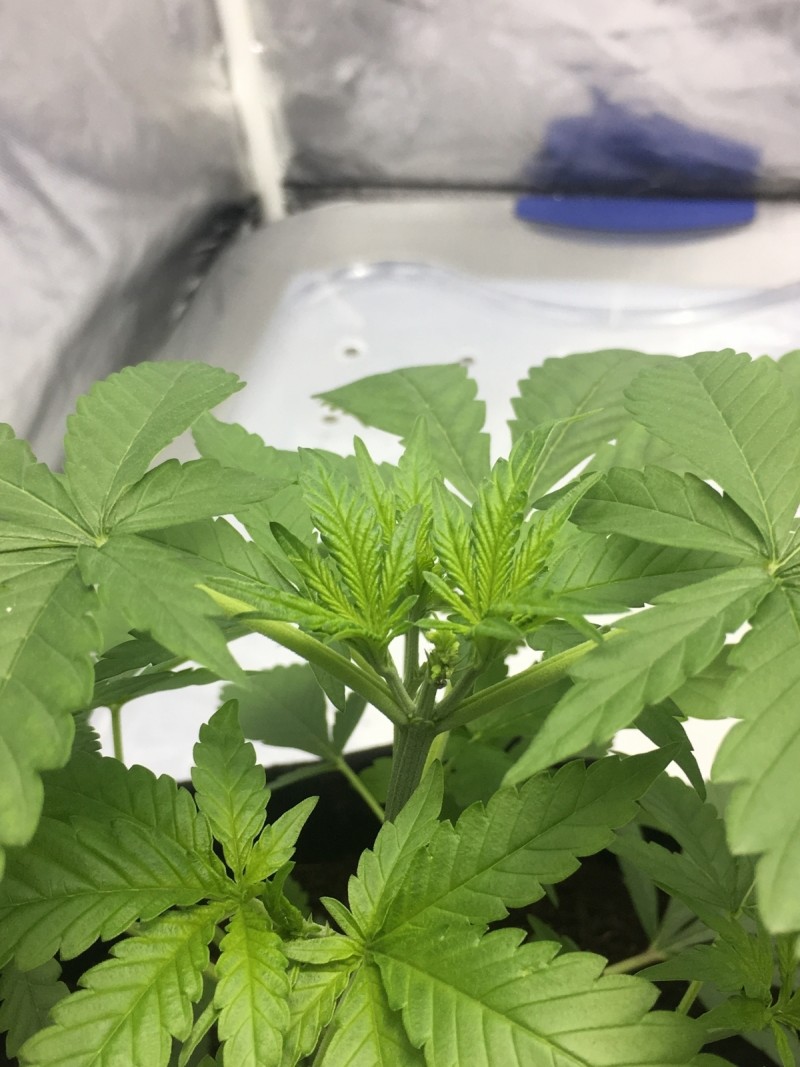 EF19AEAE-DA5C-4ACE-AE70-524ECD8575C7