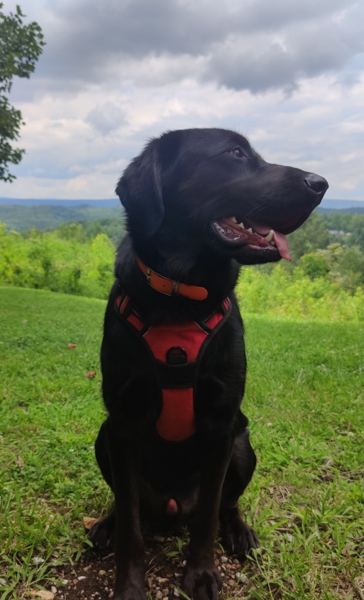 Screenshot_2023-07-22-15-37-43-48_92460851df6f172a4592fca41cc2d2e6