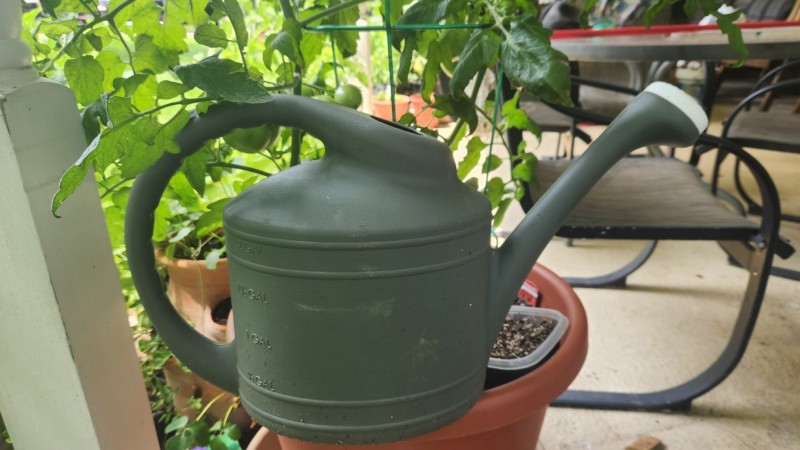 16903953459005414356938628200736