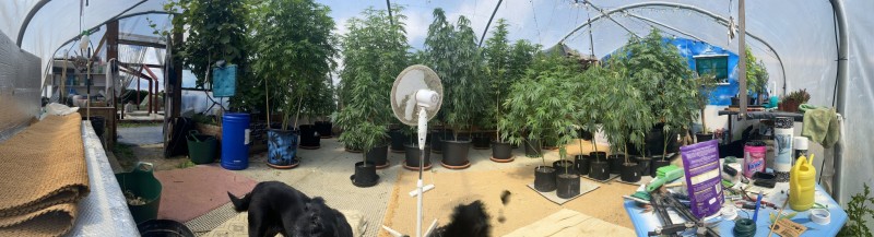 DA8788D9-4E4A-425E-A836-9D1037F3C745