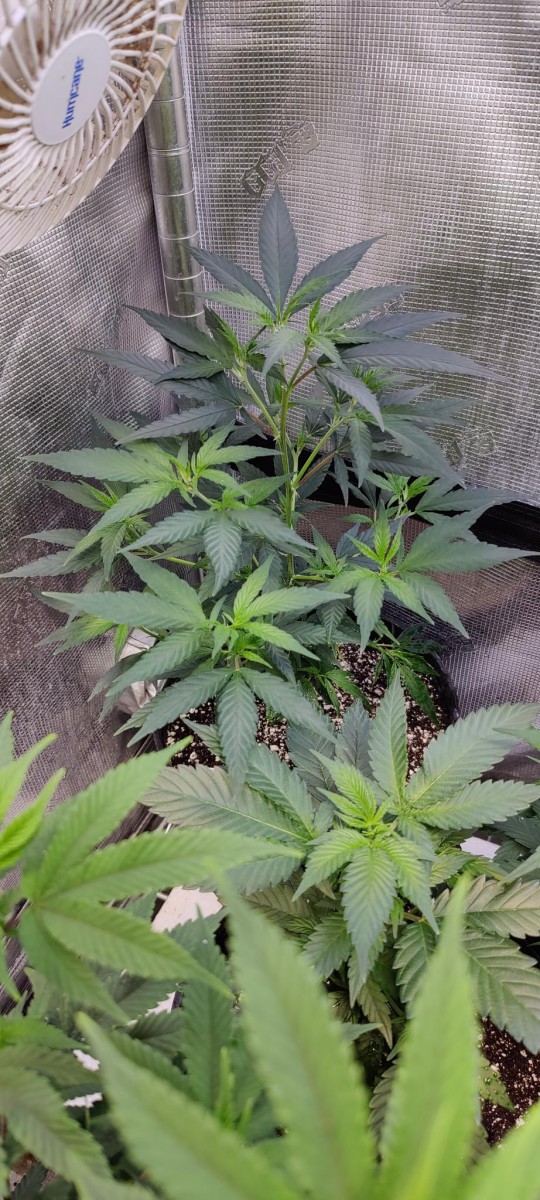 signal-2023-07-27-23-10-49-909