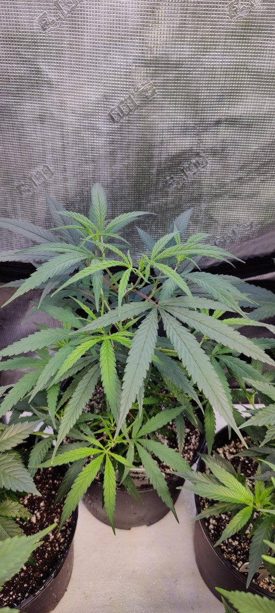 signal-2023-07-27-23-10-49-909-1