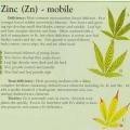 Zinc deficiency Cannabis