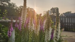 1690931963778374895429772982610