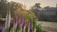 16909320258456163826873940555350